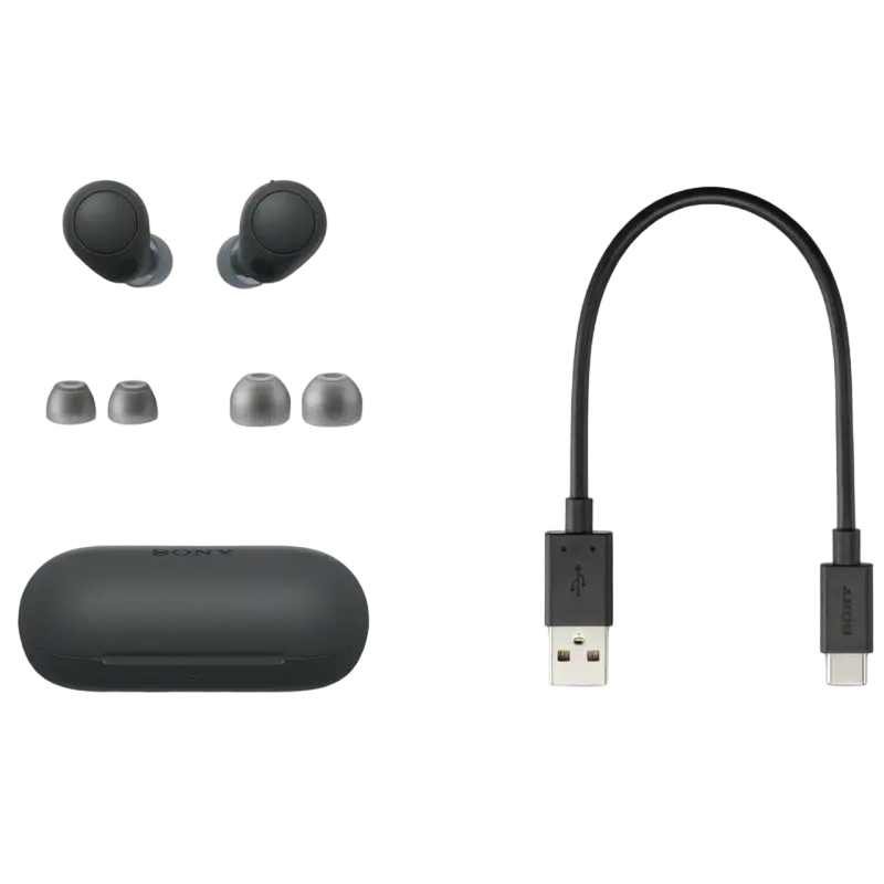 Наушники SONY WF-C700NB Чёрный