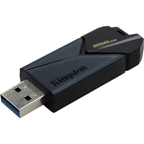 USB Flash накопитель Kingston DataTraveler Exodia Onyx 256ГБ Чёрный