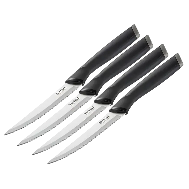 Set de Cuțite Tefal K221S404 Comfort Negru
