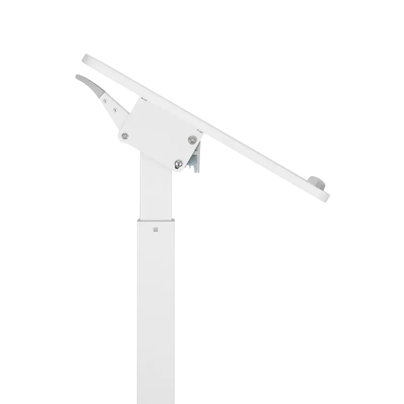 Reflecta Dino MWS600