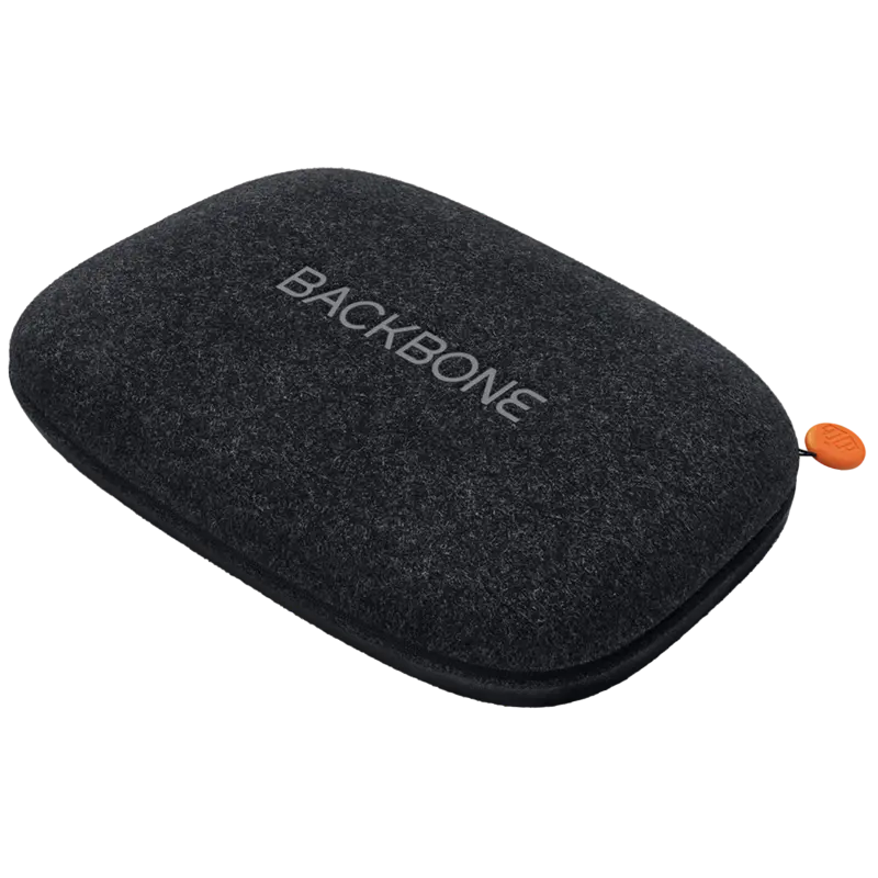 SONY One Carrying Case Чёрный