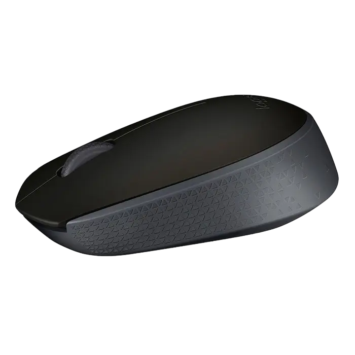 Беcпроводная мышь Logitech M171 Беспроводное Чёрный