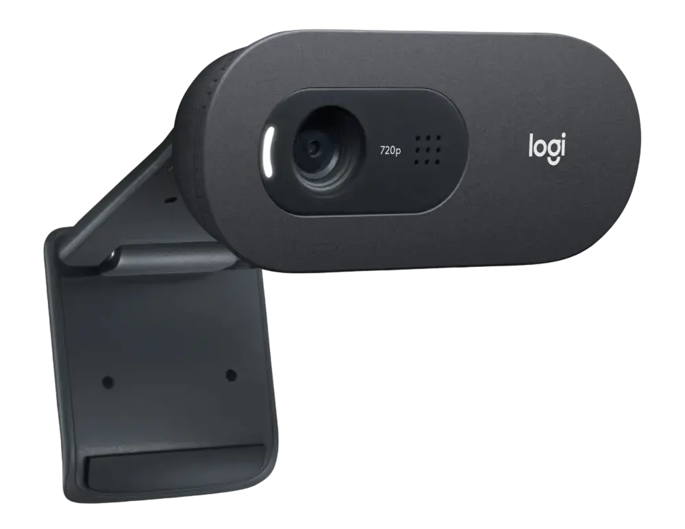 Веб-камера Logitech C505 HD Черный