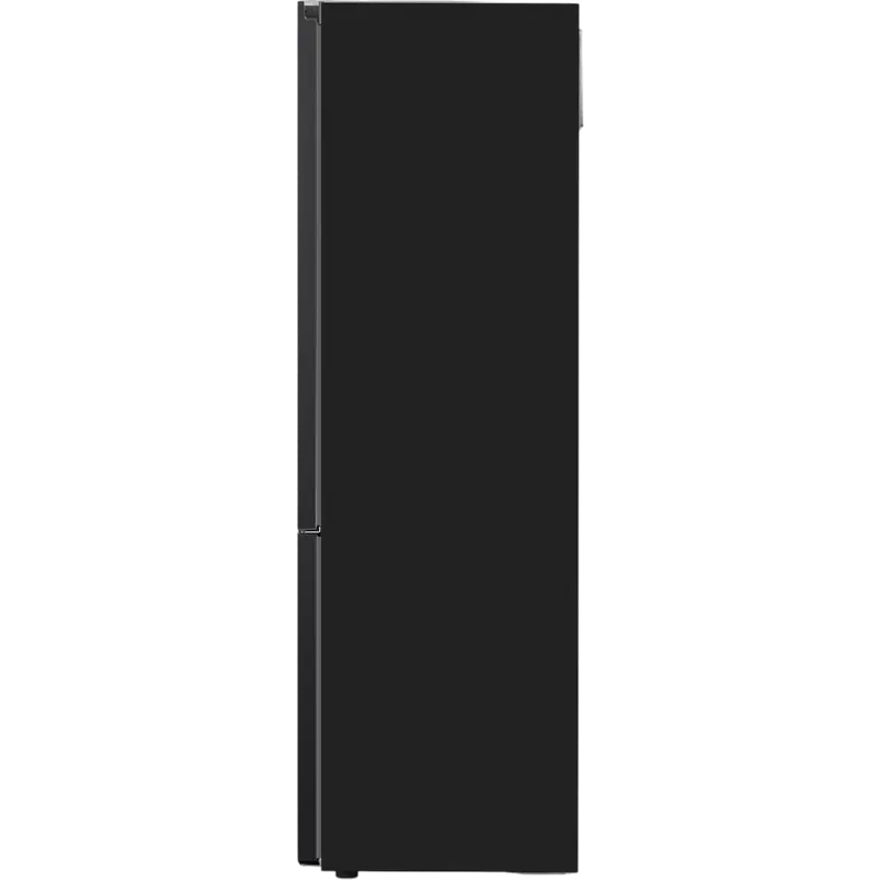 Холодильник LG GBV5240DEP Чёрный