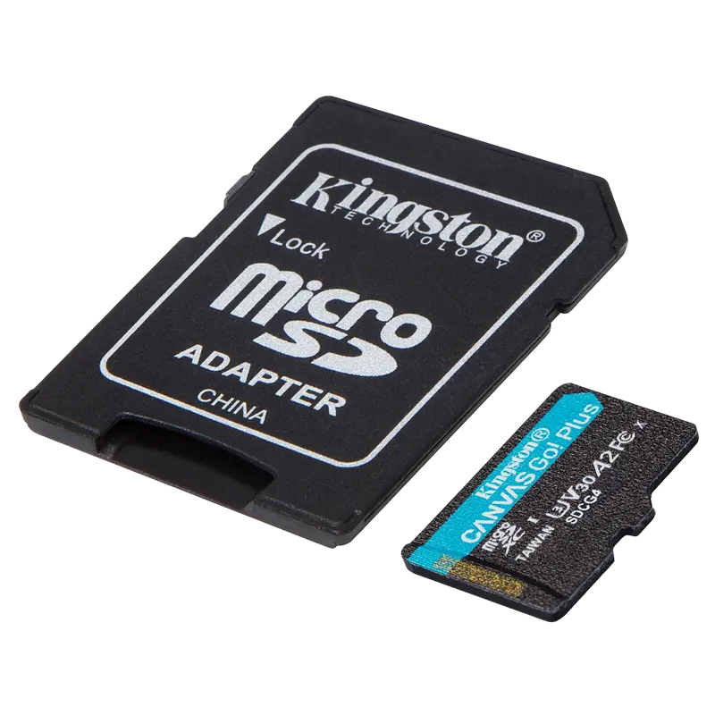 Card de Memorie Kingston Canvas Go Plus Gen4 256GB