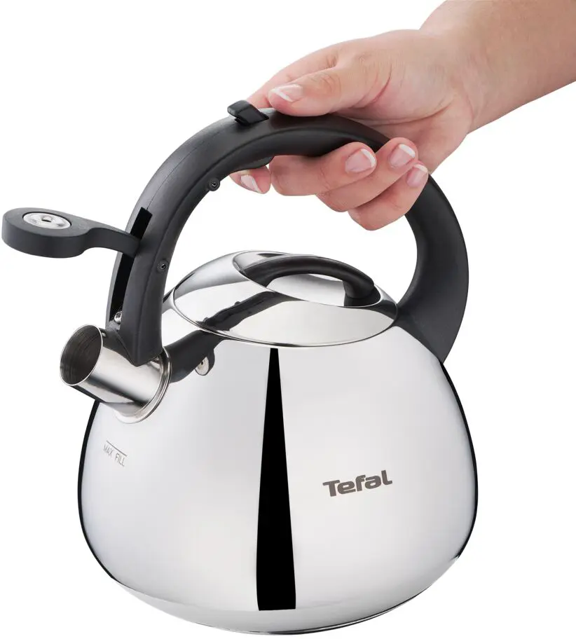 Чайник Tefal K2481574 Нержавеющая сталь