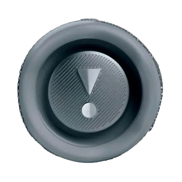 Портативная колонка JBL Flip 6 Серый