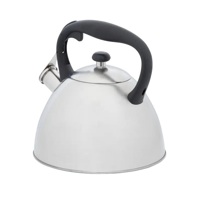 Чайник RESTO GEMINI Gemini Нержавеющая сталь