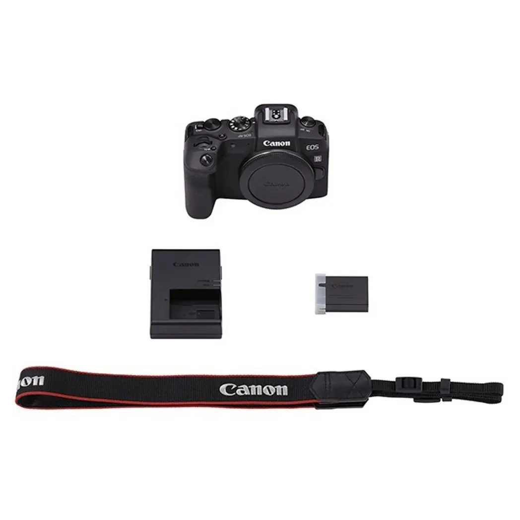 Canon EOS RP + Adapter + EF Lenses