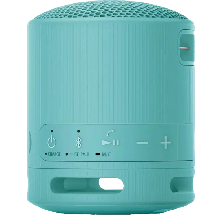 Портативная колонка SONY XB100 Синий