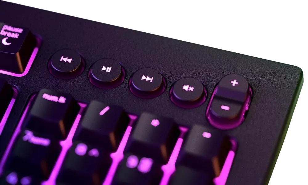 Tastatură Razer Razer Cynosa V2 Membrană Negru