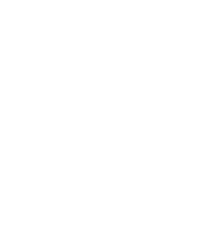 Adjustable LED light