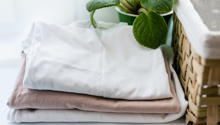 Program odświeżania